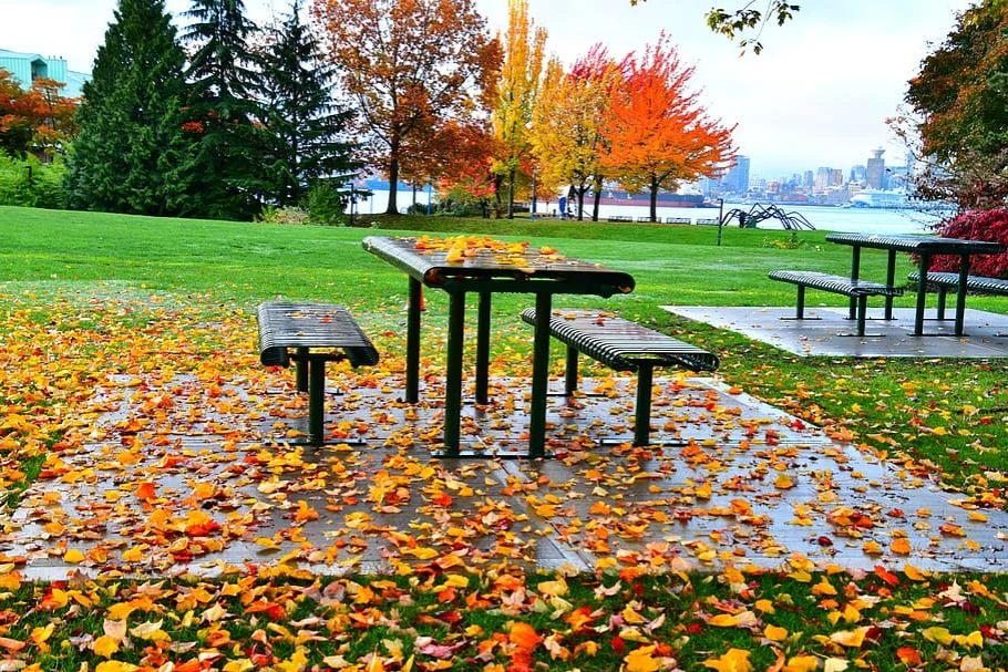 autumn season leaves landscape thanksgiving apple