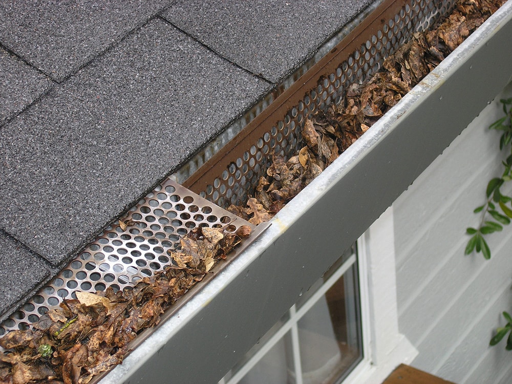 gutter filled with leaves and broken gutter guard