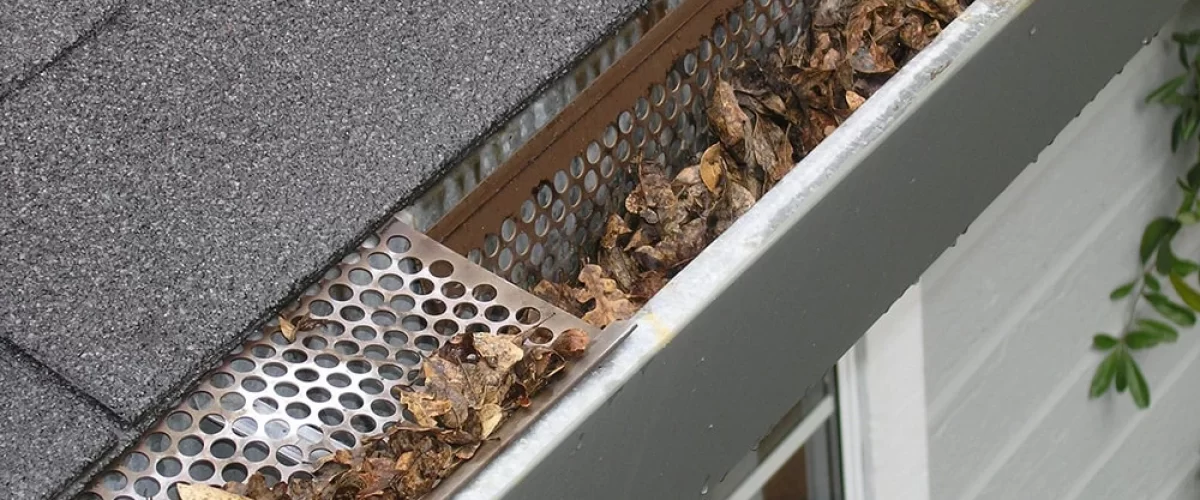 gutter clogged with leaves